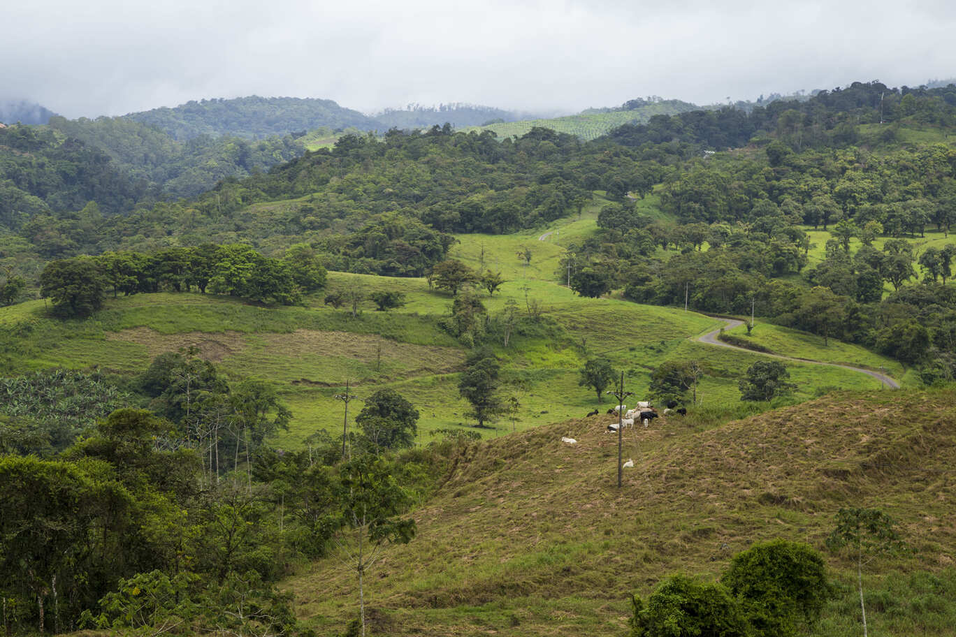 Tropical rainforest view in Costa Rica